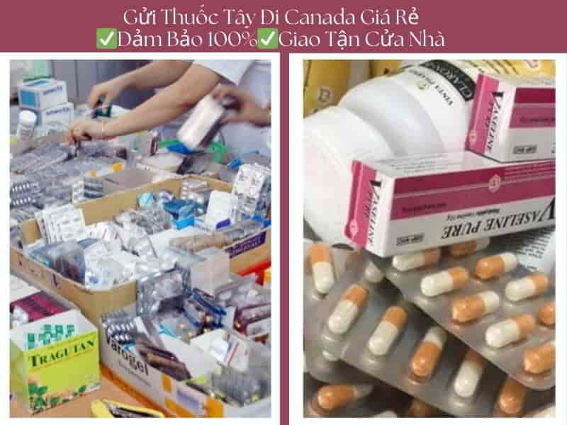 Gửi Thuốc Tây Đi Canada Giá Rẻ